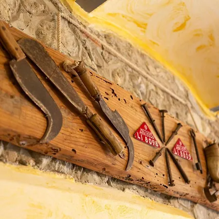 Country house Agriturismo Cappellese *
