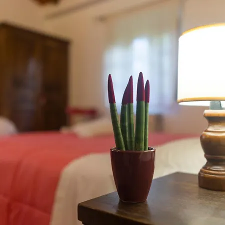 Country house Agriturismo Cappellese *